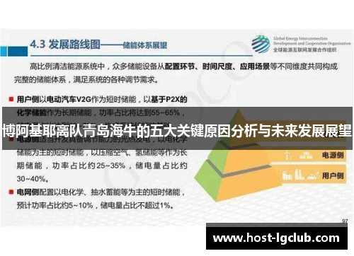 博阿基耶离队青岛海牛的五大关键原因分析与未来发展展望